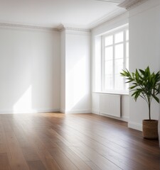 An empty white room with a wooden floor and a potted plant