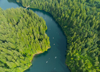 A river with a green forest on either side