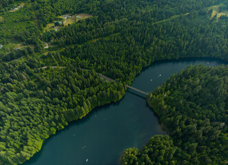 A beautiful lake surrounded by trees and a bridge