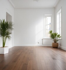 An empty white room with a wooden floor and a potted plant
