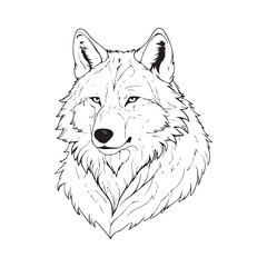 Wolf line art vector silhouette with white Background