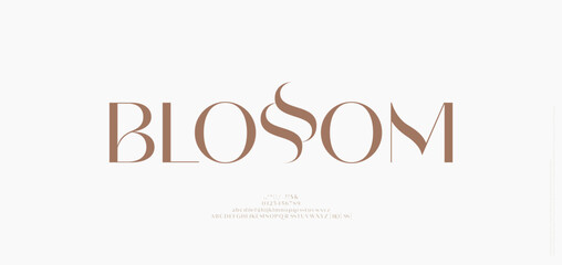 Beauty Luxury font alphabet logo. Typography beautiful fashion elegant classic letters serif italic fonts decorative wedding vintage blossom logos. vector illustration
