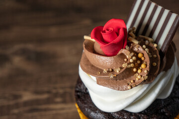 Gourmet Chocolate Cupcake with Frosting
