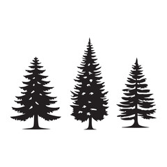 Obraz premium pine tree silhouette isolated on white background .vector illustration. Beautiful hand drawn panorama with treetops forest. Black pine woods