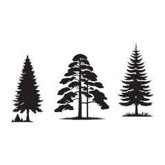 pine  tree silhouette isolated on white background .vector illustration. Beautiful hand drawn panorama with treetops forest. Black pine woods
