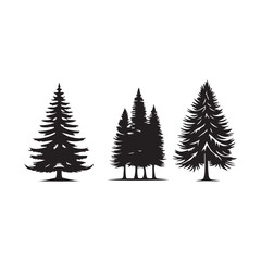 pine  tree silhouette isolated on white background .vector illustration. Beautiful hand drawn panorama with treetops forest. Black pine woods