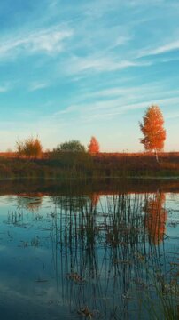 Time lapse of a beautiful sunrise over a autumn forest lake