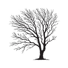 Digital art of group of black trees without leaves isolated on transparent background,  Black silhouette of a tree without leaves on white background.