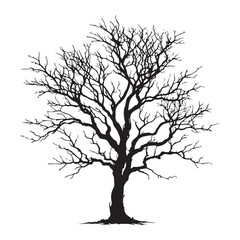 Digital art of group of black trees without leaves isolated on transparent background,  Black silhouette of a tree without leaves on white background.