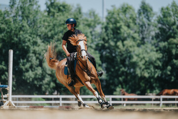 Horseback rider in action guiding a brown horse during an outdoor equestrian training session on a sunny day.