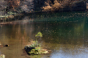 信州の秋の紅葉