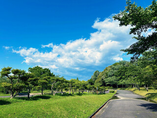 公園の遊歩道と青空