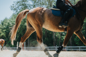 Close-up of a rider and horse in motion during equestrian training on a sandy outdoor track under...