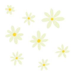 daisy flowers pattern 