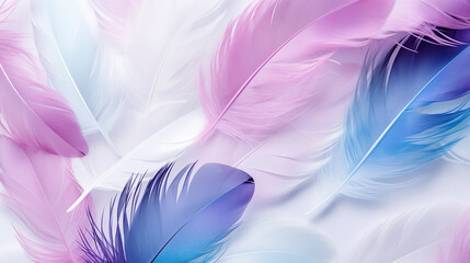 Obraz premium Colorful Abstract Purple and Blue Feathers