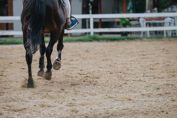 A close-up of an equestrian riding a horse on a sandy arena at a stable, depicting harmony between...