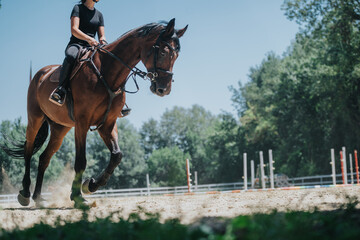 A young rider on a horse during an equestrian training session in a sunny outdoor arena, surrounded...