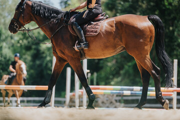 Equestrian rider on a brown horse during a training session, showcasing horsemanship and riding...