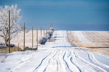 Country road with tire tracks through fresh snow overlooking the Canadian prairies in Rocky View...
