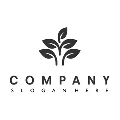 leaf logo design vector illustration