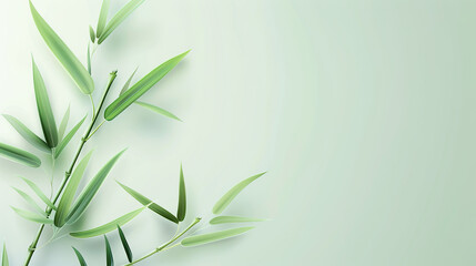 Obraz premium Minimalist bamboo leaves on light green background.