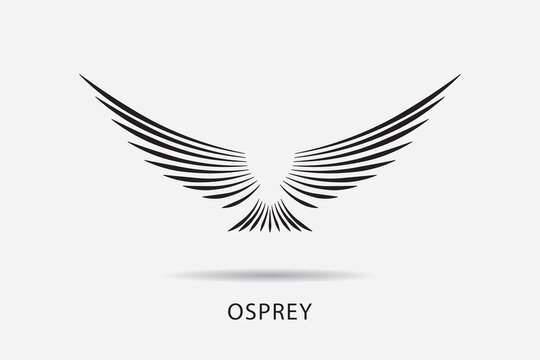 Osprey logo design, flying osprey bird logo design, flying bird.