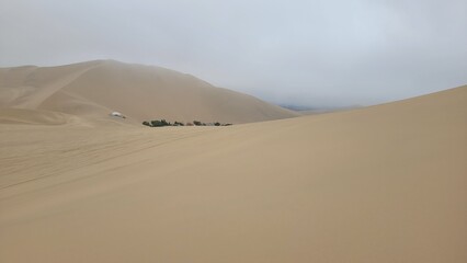 Oasis in Peru desert