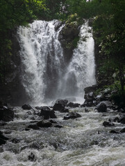 Reserva Forestal La Yeguada Panama