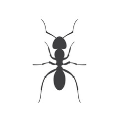 Ants, are a type of social insect, vector art.