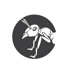 Fototapeta premium Ants, are a type of social insect, vector art.