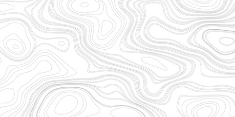 Abstract Contour Topographic Line Pattern in Gray and White, Abstract lines background. Contour maps. Topo contour map on white background,