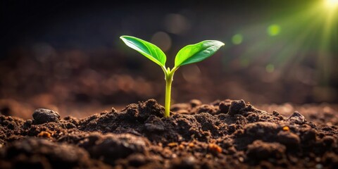 Small green sprout breaking through dark soil, symbolizing growth and perseverance, growth, green, sprout, soil, nature, plant