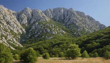 Fototapeta premium Majestic mountain landscape with lush greenery
