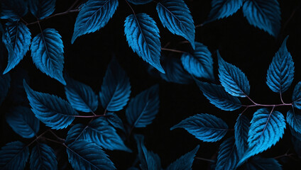 Close-up detail macro texture bright blue green leave tropical forest plant  in dark nature background