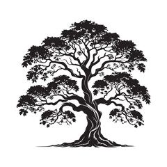 Night sunset shines bright abstract silhouette black bush tree cloud sky nature background, Rain Tree, Samanea saman on blue sky nature background
