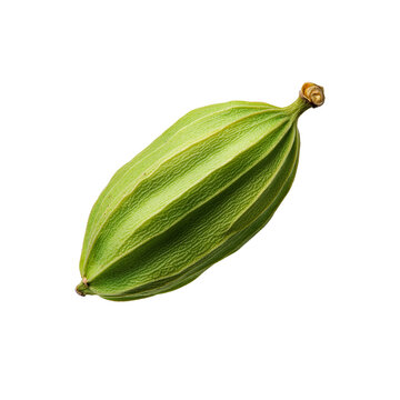 Fresh green cardamom pod on black background, showcasing its unique shape and texture