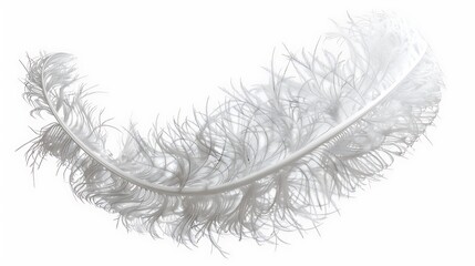 Obraz premium a soft, white down feather with fine textures and a gentle curve, set against a clear, transparent background.