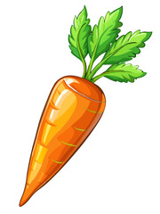 illustration of a carrot, carrot isolated on white background