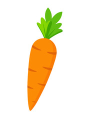 carrot isolated on white