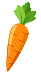 carrot with leaf, illustration of a carrot isolated on white background