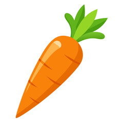 carrot isolated on white, illustration of a carrot isolated on white background