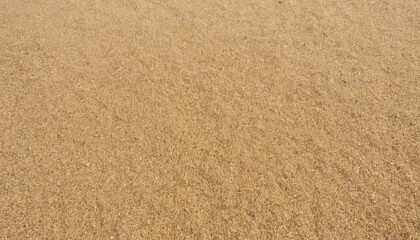  Textured surface of a sandy beach