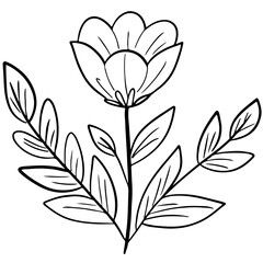 black and white flowers