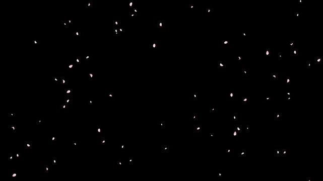 Sakura Flutter Down 01 Loop HD