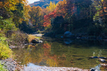日本の風景・秋　埼玉県嵐山町　紅葉の嵐山渓谷