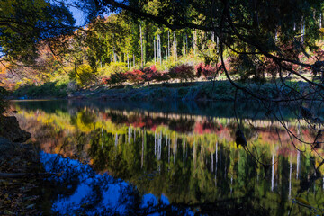 日本の風景・秋　埼玉県嵐山町　紅葉の嵐山渓谷