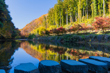 日本の風景・秋　埼玉県嵐山町　紅葉の嵐山渓谷