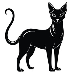 Stylish Abyssinian Cat Silhouette Vector Design on a White Background