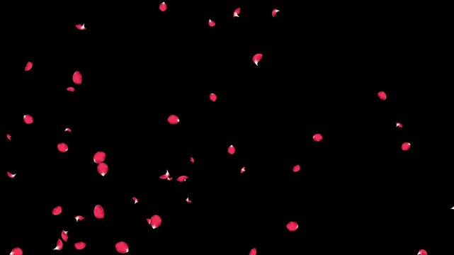 Rose Flutter Side 02 Loop HD