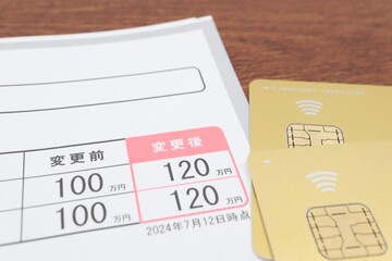 クレジットカード利用可能枠の増額。ゴールドカード。